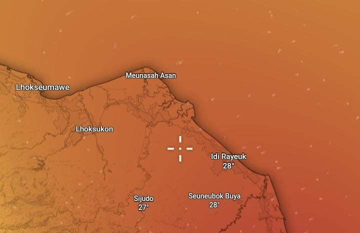 Aceh Dikepung Kabut Asap: BMKG Ungkap Pemicu dan Ancaman Transboundary Haze