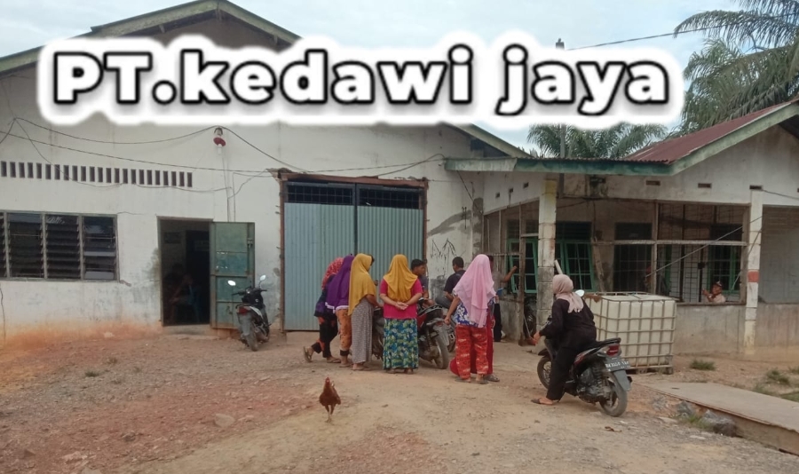 PT. Kedawi Jaya Diduga Tanpa IUP/HGU Beri Kuasa Kepada Kades Sennah Untuk Amankan Kebun Tanpa Tanggal