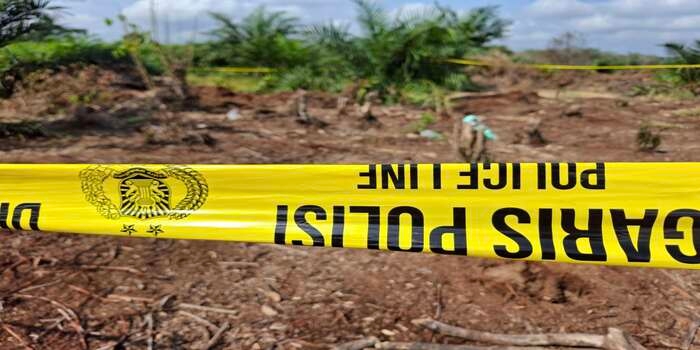 Mayat Wanita Setengah Terkubur di Kebun Sawit Labusel, Polisi Selidiki Dugaan Pembunuhan!