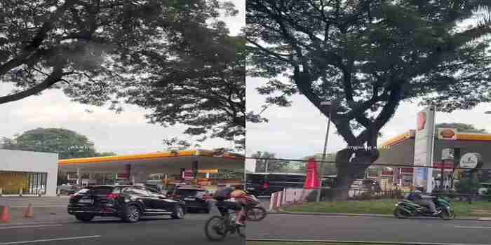 Buntut Kasus Korupsi Pertamina BBM Oplos! Kepercayaan Turun, Publik Ramai-Ramai Beralih ke SPBU Swasta